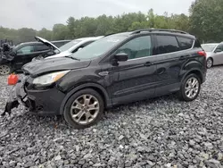 Ford salvage cars for sale: 2013 Ford Escape SE