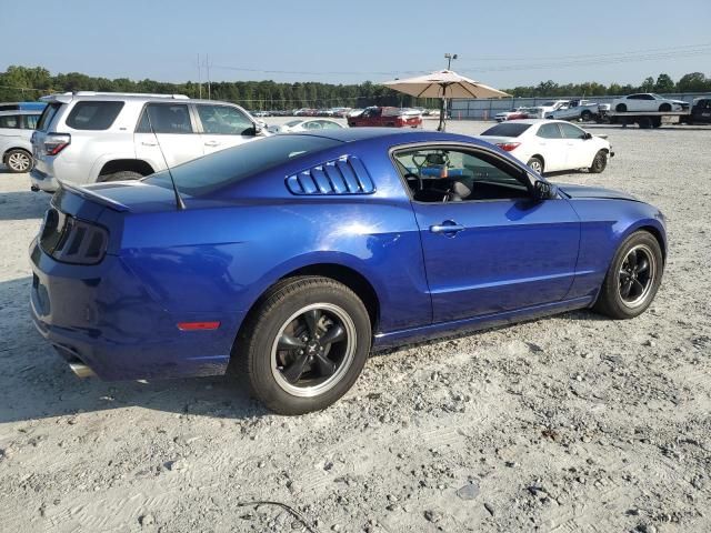 2013 Ford Mustang