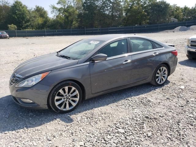 2011 Hyundai Sonata SE