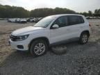 2013 Volkswagen Tiguan S