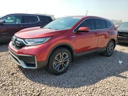 Honda salvage cars for sale: 2020 Honda CR-V EXL