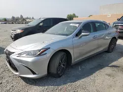 Salvage cars for sale at Mentone, CA auction: 2023 Lexus ES 300H Base