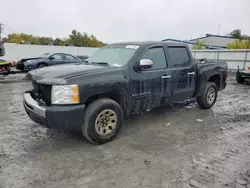 Salvage trucks for sale at Albany, NY auction: 2009 Chevrolet Silverado K1500 LT