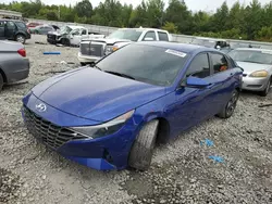 Salvage cars for sale at Memphis, TN auction: 2023 Hyundai Elantra SEL