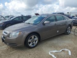 Chevrolet Vehiculos salvage en venta: 2010 Chevrolet Malibu 1LT