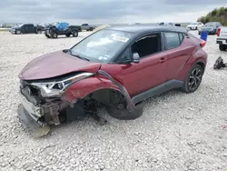 Salvage cars for sale at Taylor, TX auction: 2019 Toyota C-HR XLE