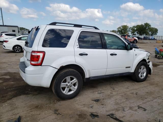 2008 Ford Escape HEV