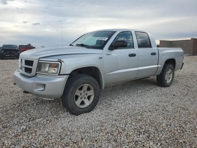 2010 Dodge Dakota SXT