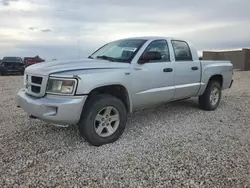 Dodge salvage cars for sale: 2010 Dodge Dakota SXT