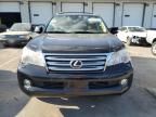 2012 Lexus GX 460 Premium