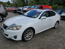 Salvage cars for sale at Candia, NH auction: 2011 Lexus IS 250