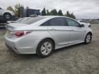 2013 Hyundai Sonata Hybrid