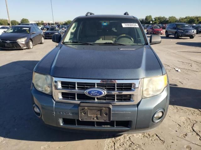 2011 Ford Escape XLT