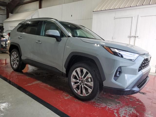 2023 Toyota Rav4 XLE Premium