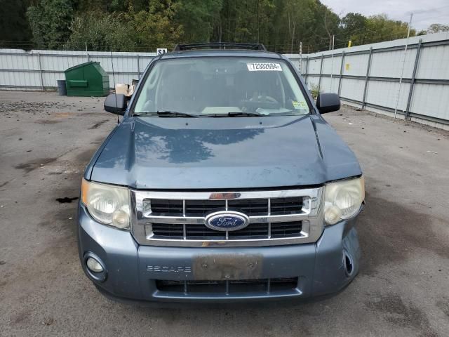 2010 Ford Escape XLT