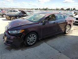 Ford salvage cars for sale: 2013 Ford Fusion SE