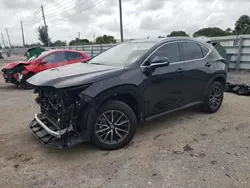 Salvage cars for sale at Miami, FL auction: 2024 Lexus NX 250 Premium