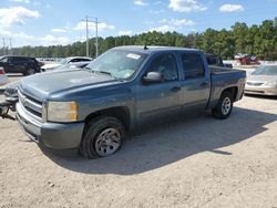 Salvage trucks for sale at Greenwell Springs, LA auction: 2009 Chevrolet Silverado C1500