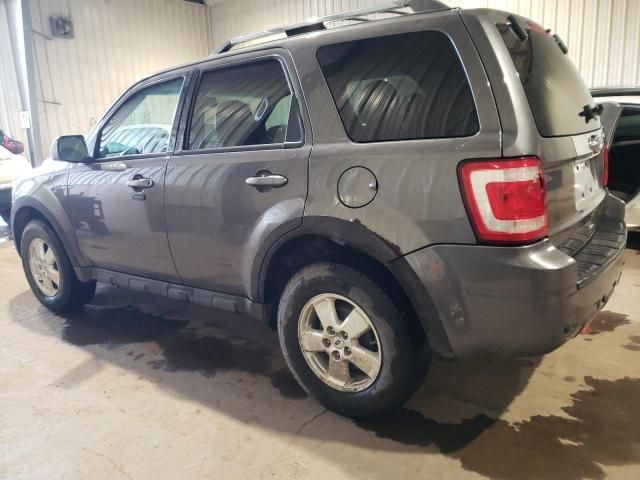 2010 Ford Escape Limited