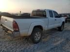 2005 Toyota Tacoma Prerunner Access Cab