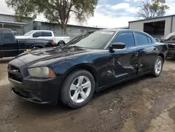 Salvage cars for sale at Albuquerque, NM auction: 2014 Dodge Charger SE