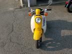 2009 Honda CHF50