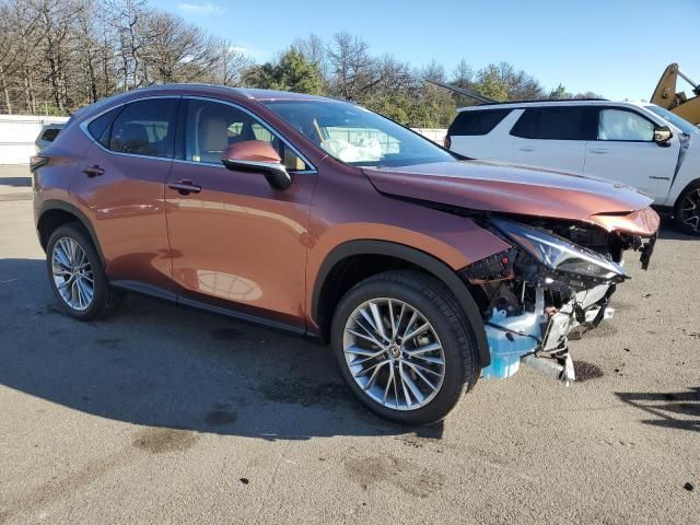 2025 Lexus NX 350 Premium