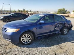 Salvage cars for sale at Mentone, CA auction: 2007 Toyota Camry CE