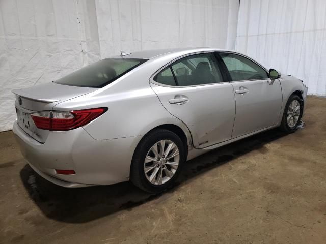 2013 Lexus ES 300H