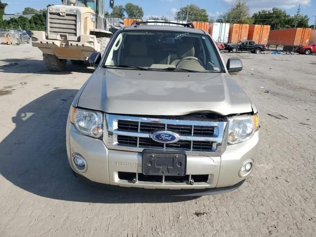 2010 Ford Escape XLT