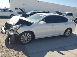 Honda salvage cars for sale: 2014 Honda Accord EXL