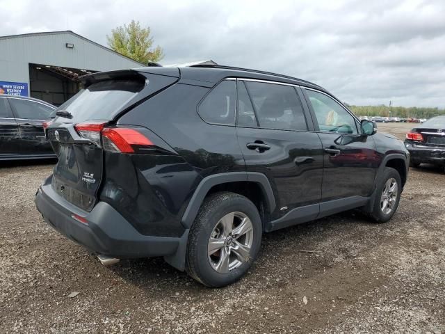 2023 Toyota Rav4 XLE