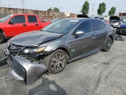 Salvage cars for sale at auction: 2021 Toyota Camry SE