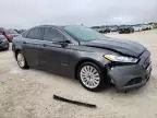 2016 Ford Fusion SE Hybrid