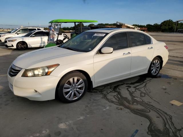 2011 Honda Accord EXL