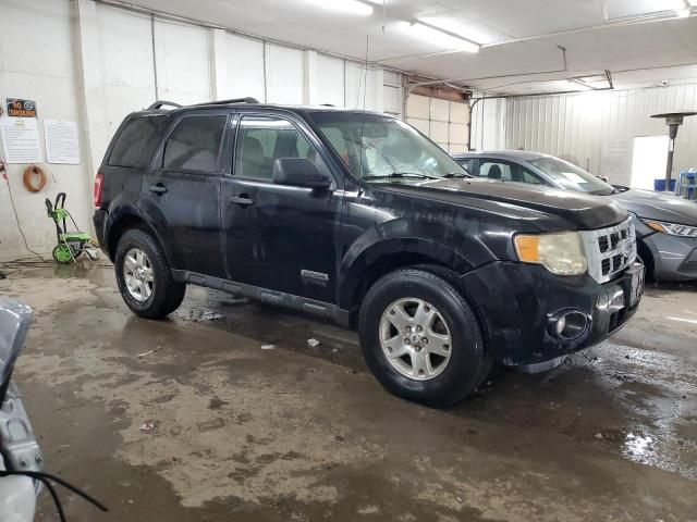 2008 Ford Escape XLT