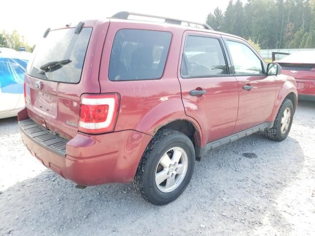 2012 Ford Escape XLT