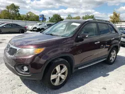 Salvage cars for sale at Walton, KY auction: 2013 KIA Sorento EX