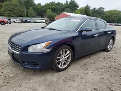 Nissan salvage cars for sale: 2010 Nissan Maxima S