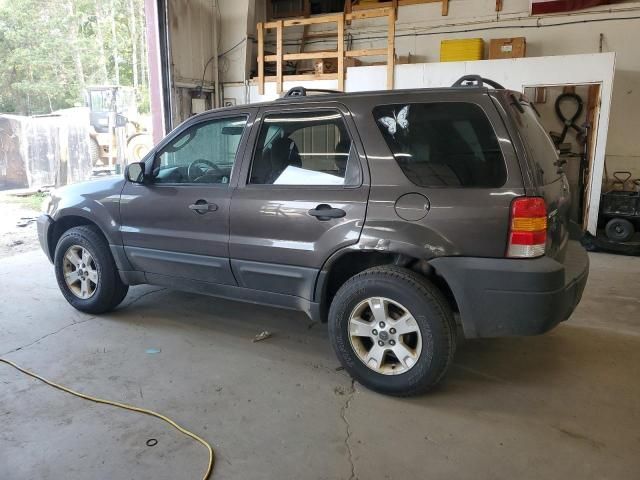 2007 Ford Escape XLT