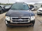 2010 Ford Escape Limited