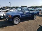 1987 Toyota Pickup RN64 DLX