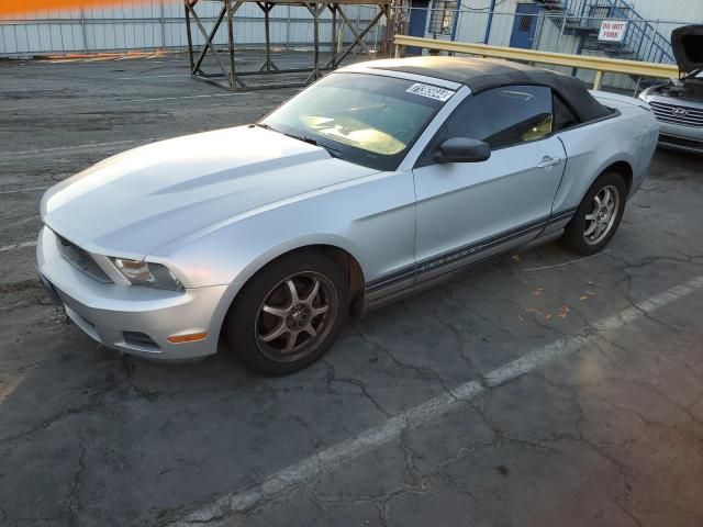 2010 Ford Mustang