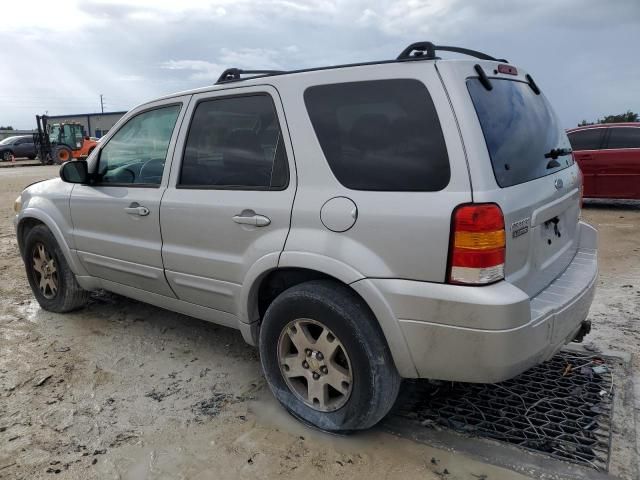 2005 Ford Escape Limited