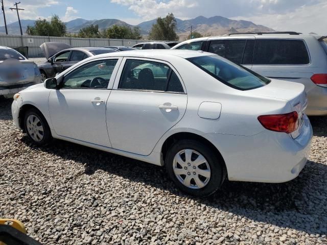 2009 Toyota Corolla Base