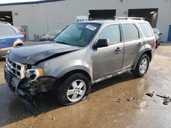 Salvage cars for sale at Elgin, IL auction: 2012 Ford Escape XLT