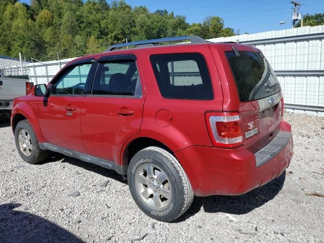 2011 Ford Escape Limited