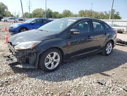 Salvage cars for sale at Columbus, OH auction: 2014 Ford Focus SE