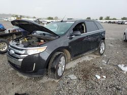 Ford salvage cars for sale: 2013 Ford Edge Limited