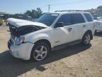 2008 Ford Escape XLT